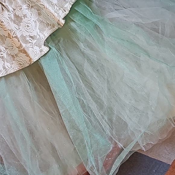 STUNNING WEISSMAN BALLET TUTU  COSTUME DRESS - Picture 14 of 16